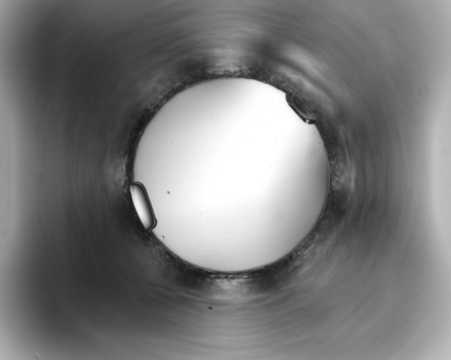 X0000096660560200802261345