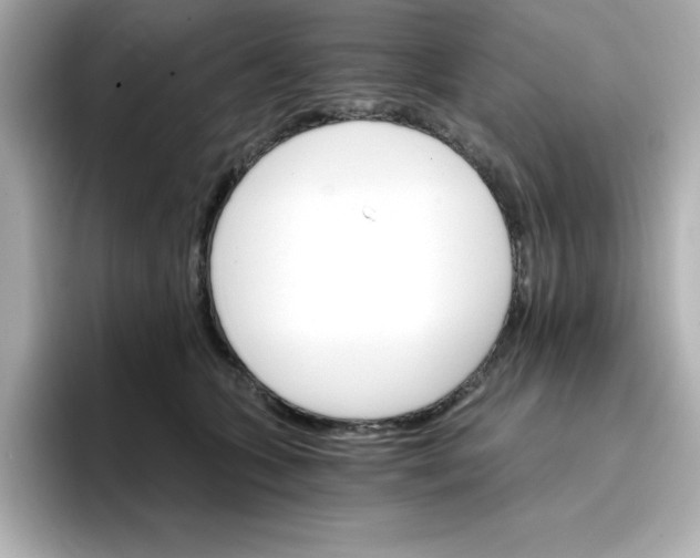 X0000096660563200802261345