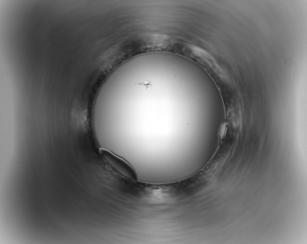 X0000096660564200802261345