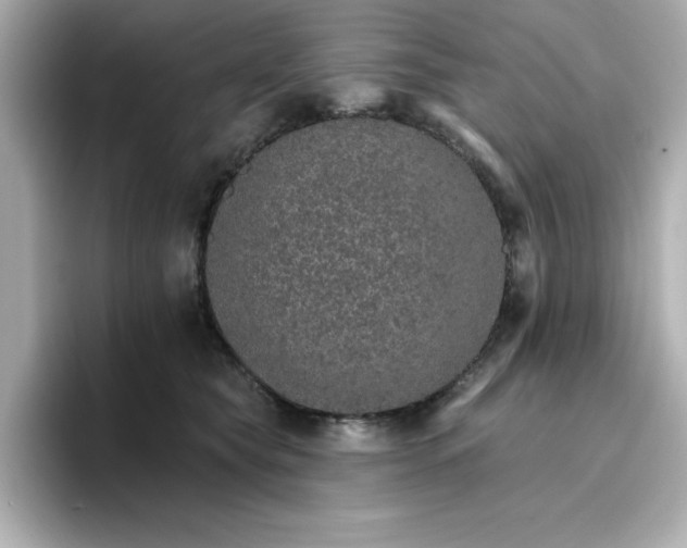 X0000096660565200802261345