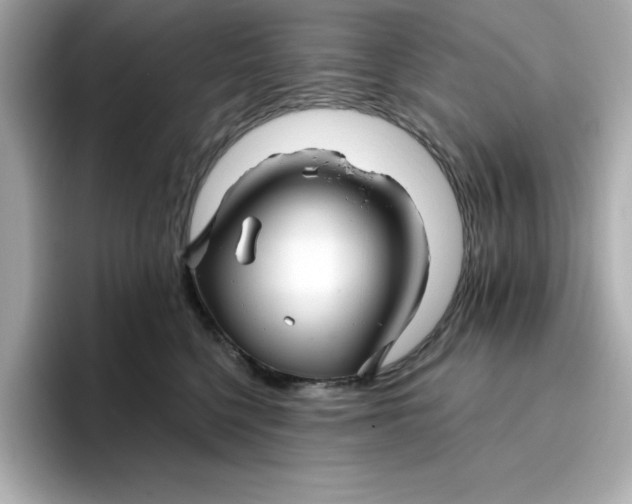 X0000096660568200802261345