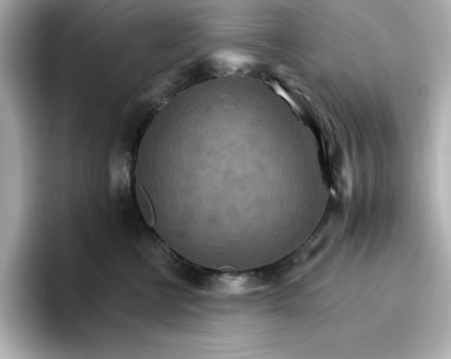 X0000096660570200802261345