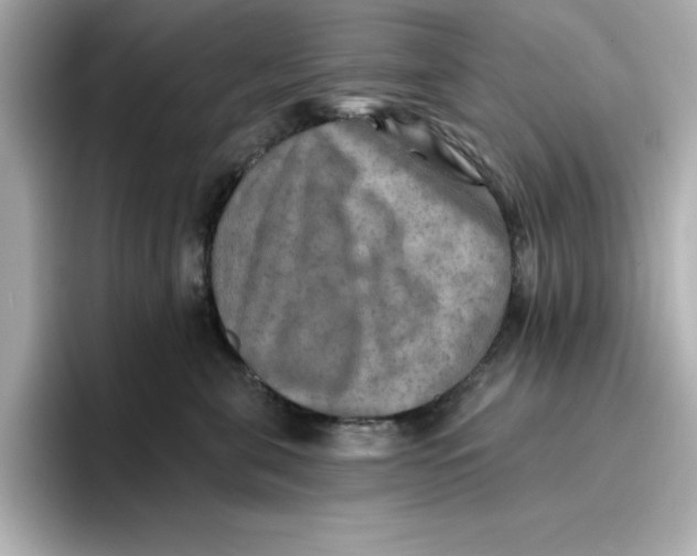 X0000096660571200802261345