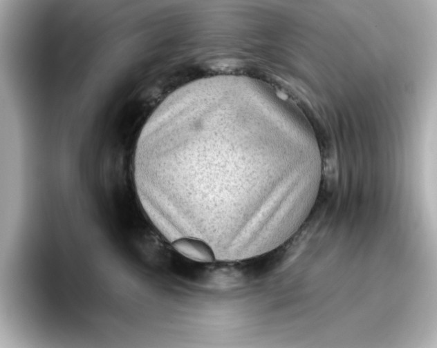 X0000096660572200802261345