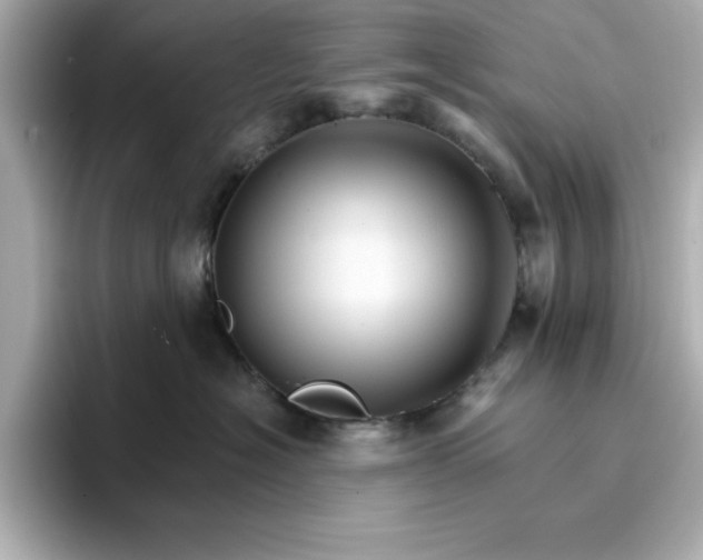 X0000096660574200802261345