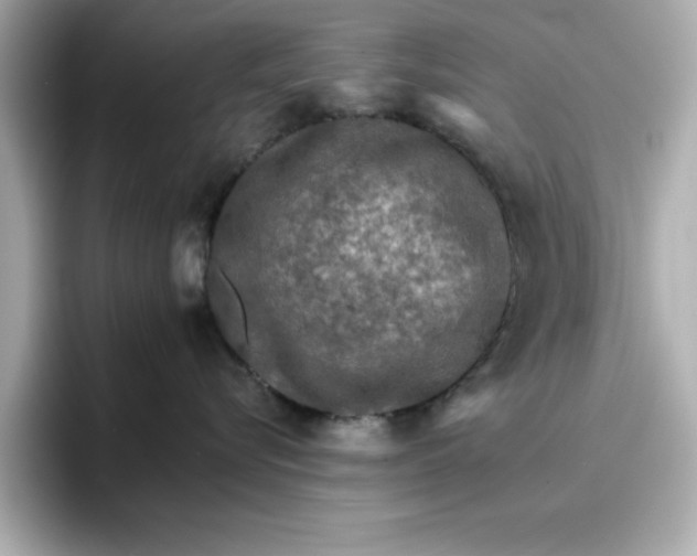 X0000096660576200802261345