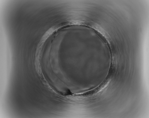 X0000096660577200802261345