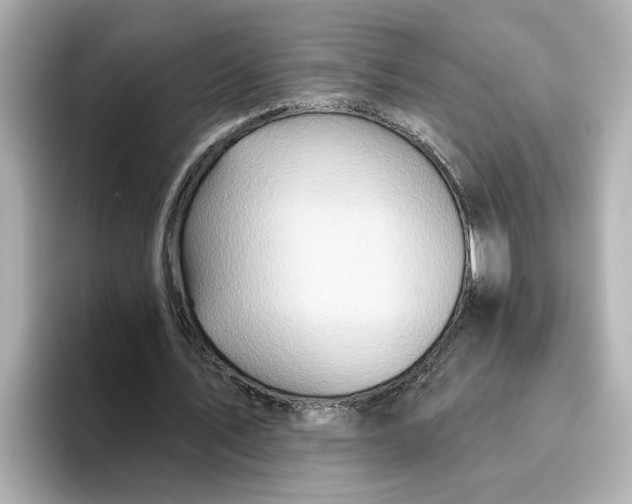 X0000096660579200802261345