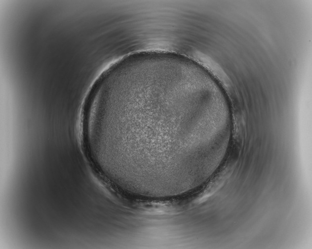 X0000096660580200802261345