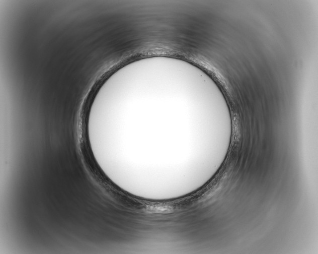 X0000096660582200802261345