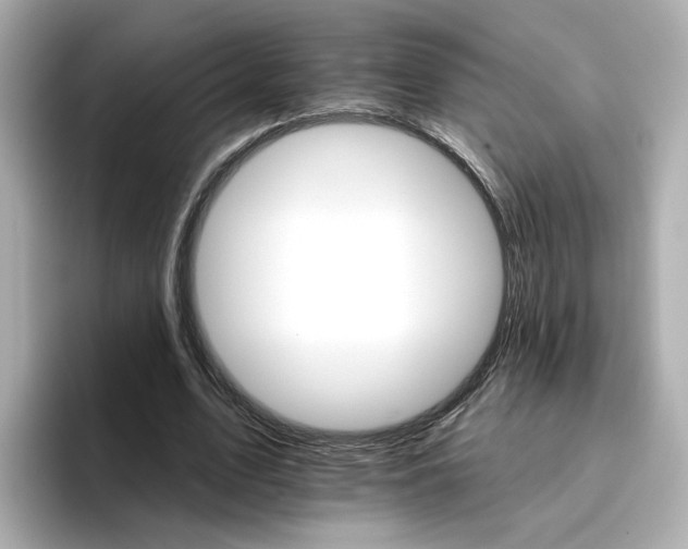 X0000096660583200802261345