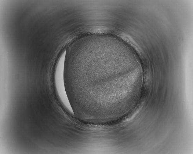 X0000096660585200802261345