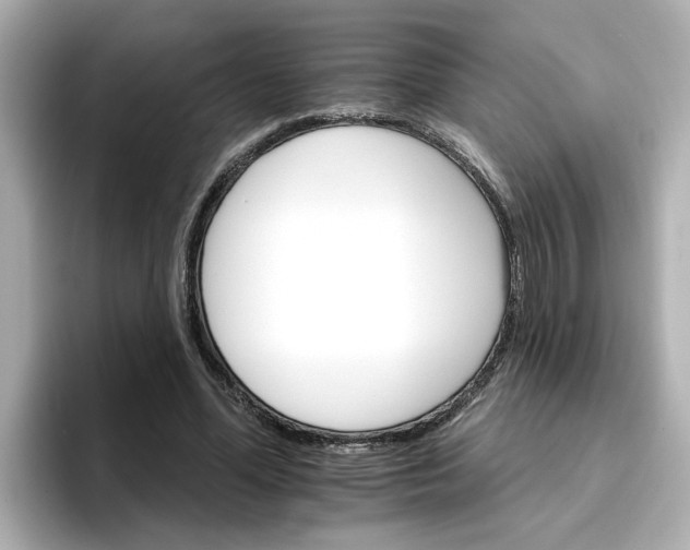 X0000096660588200802261345