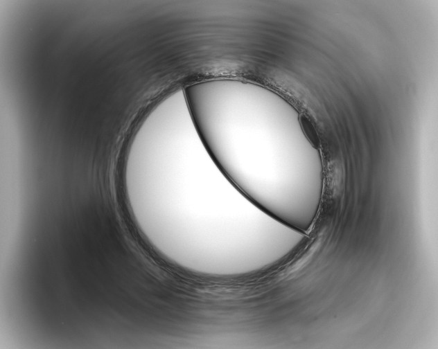 X0000096660589200802261345