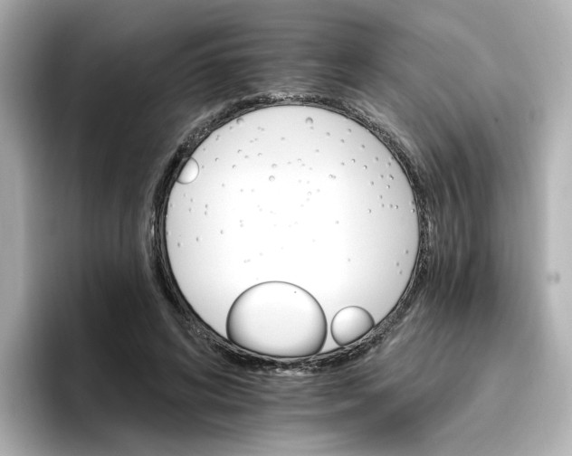 X0000096660592200802261344