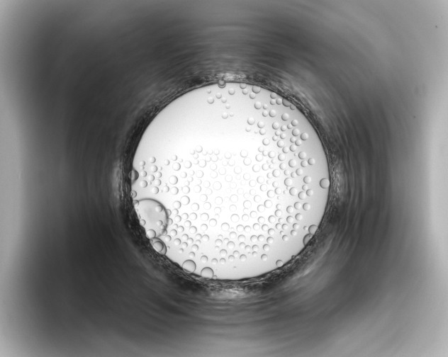 X0000096660594200802261344