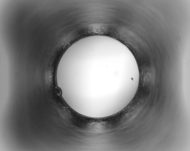 X0000096660595200802261344