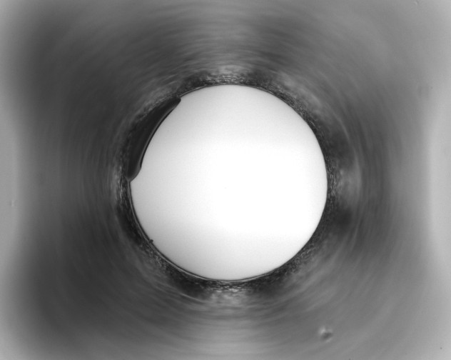 X0000096660599200802261344