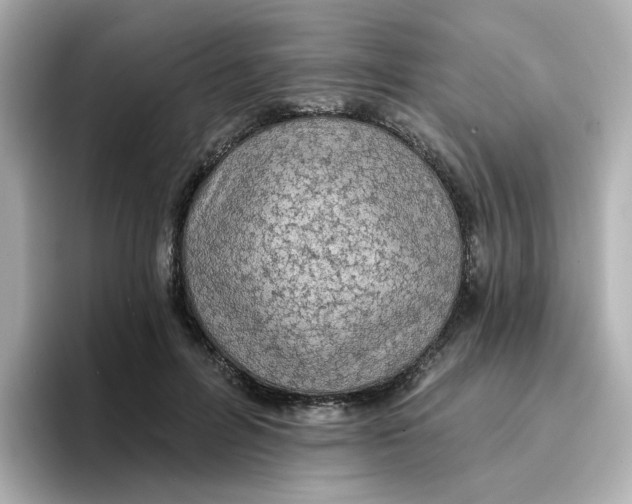 X0000096660600200802261344