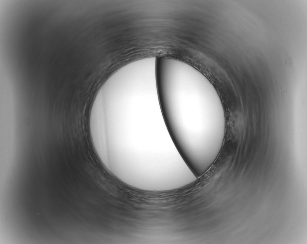 X0000096660601200802261344