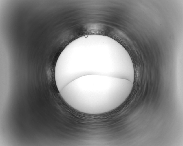 X0000096660603200802261344