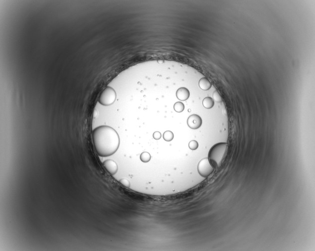 X0000096660608200802261344