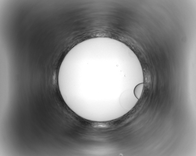 X0000096660610200802261344