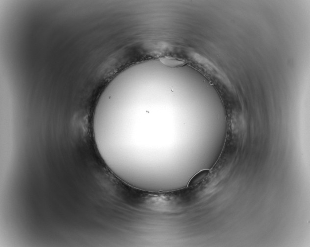 X0000096660611200802261344