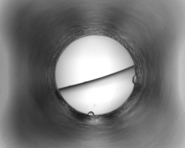 X0000096660612200802261344