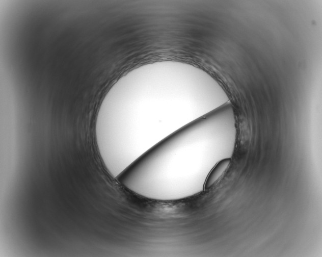 X0000096660613200802261344