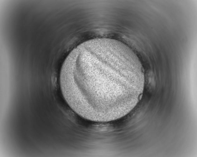 X0000096660615200802261344