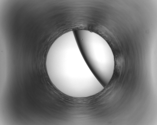 X0000096660617200802261344