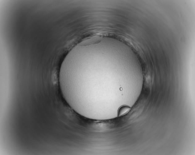 X0000096660620200802261344