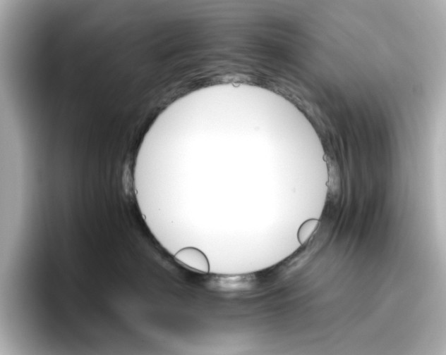 X0000096660622200802261344