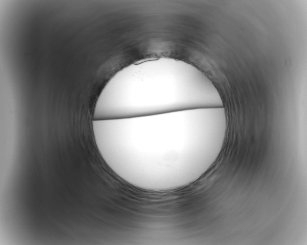 X0000096660623200802261344