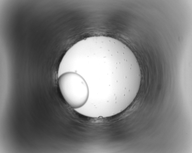 X0000096660624200802261344