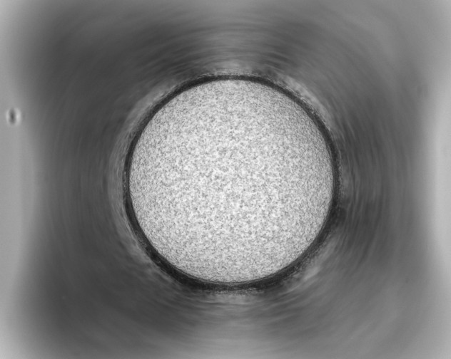 X0000096660625200802261343