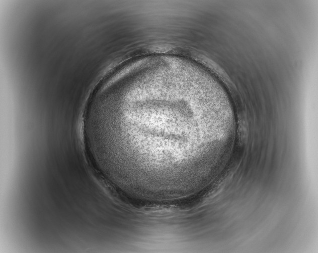 X0000096660626200802261343