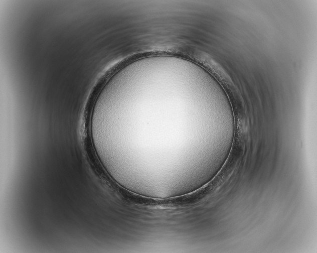 X0000096660628200802261343