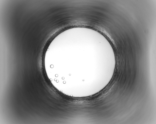 X0000096660629200802261343