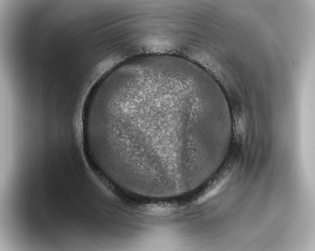 X0000096660630200802261343