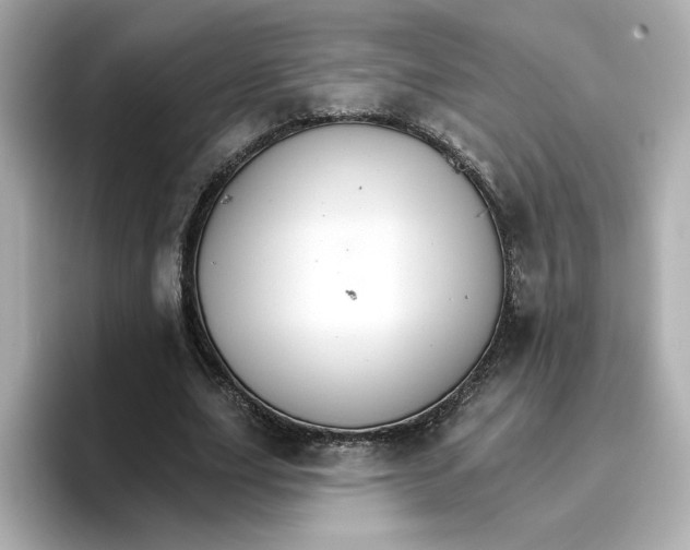 X0000096660631200802261343