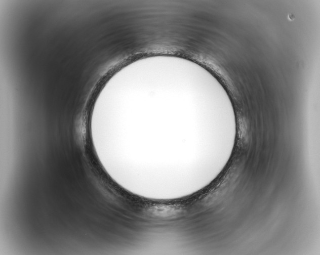 X0000096660632200802261343