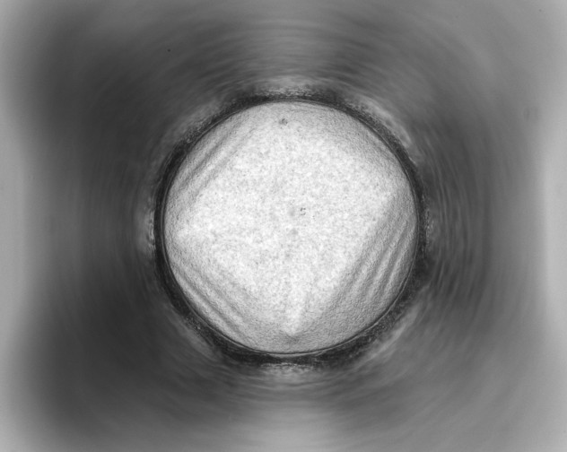 X0000096660633200802261343