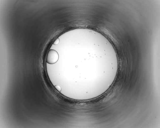 X0000096660634200802261343