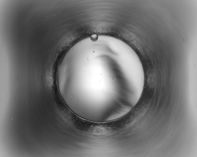 X0000096660635200802261343