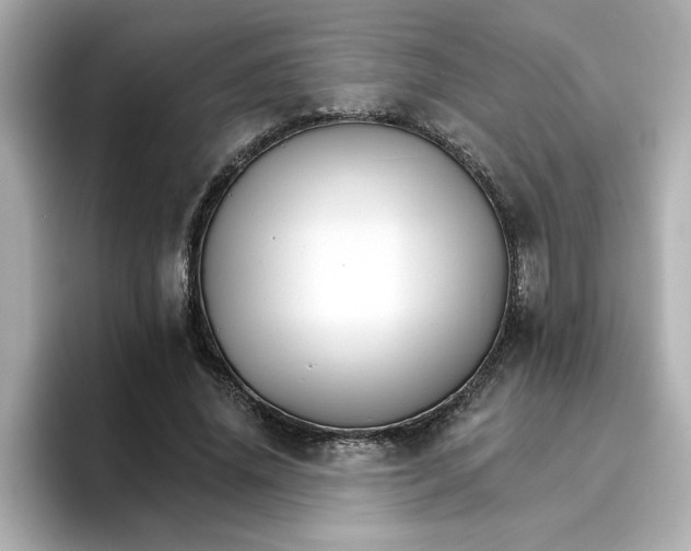 X0000096660636200802261343