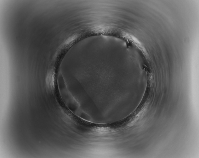 X0000096660637200802261343