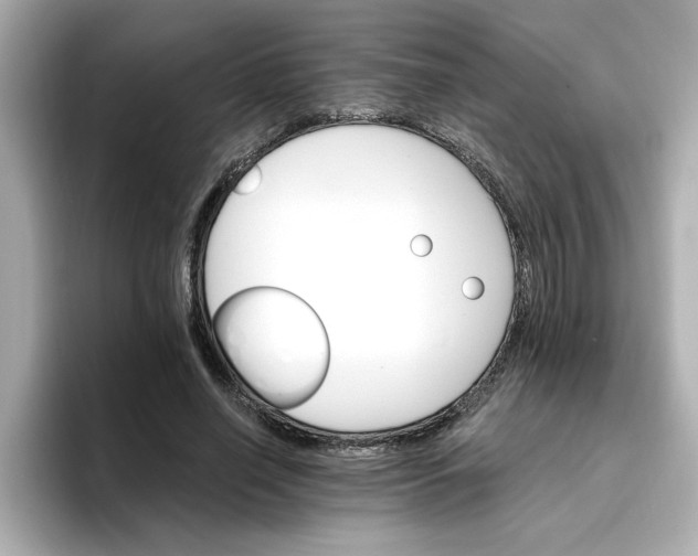 X0000096660638200802261343