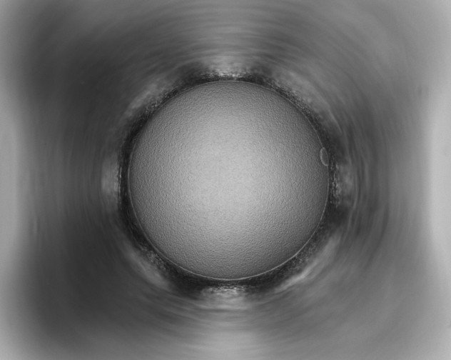 X0000096660639200802261343